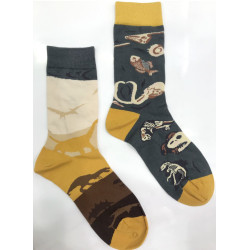 6 paires Chaussettes...