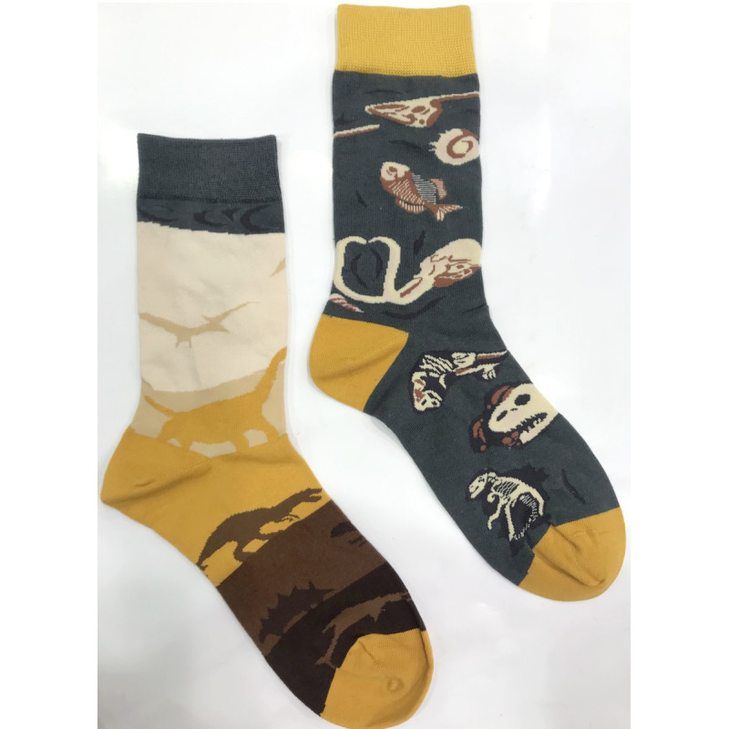 6 paires Chaussettes dinosaures fossiles Asymétriques
