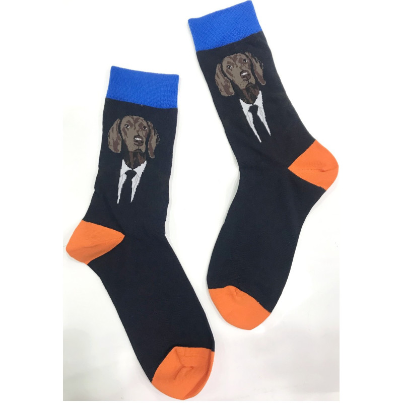 6 paires de Chaussettes Chiens CoonHound