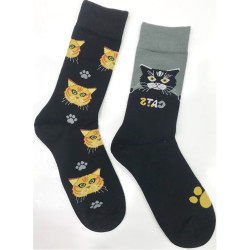 6 paires de Chaussettes...